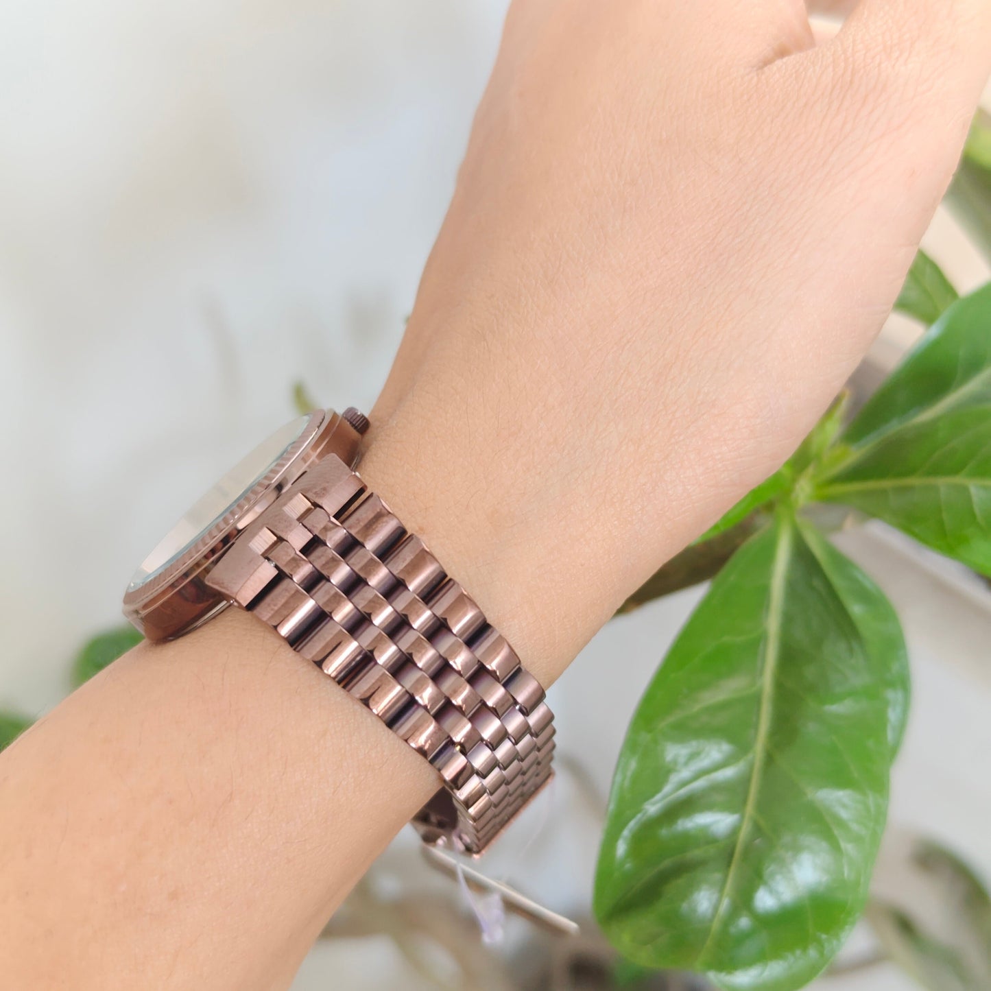Women's Deep Brown Watch with Diamond-Set Numerals and European chain for luxurious feel
